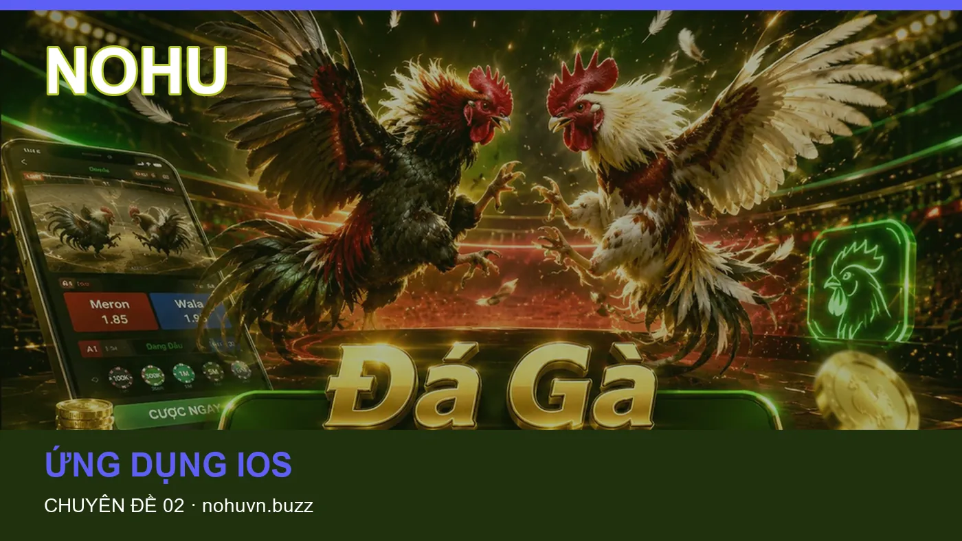 Trải nghiệm Cài đặt trên điện thoại cùng cẩm nang NOHU